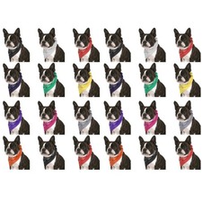 24 Pack Cotton Paisley Dog Bandanas Bulk Set for Groomers Shelters or Parties