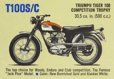 1965 Triumph T100SC Ad Motocross Motorcycle POSTER 24 X 36 INCH Sweet!