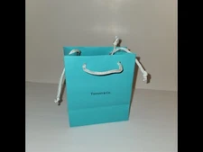 Tiffany & Co. Paper Gift Bag Small - Bridesmaid/Bachelorette/Wedding