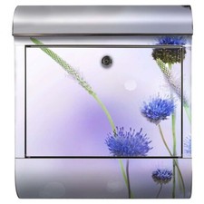 Briefkasten Blau Blume Garten Florist Korn Blume Natur Pflanze Wiese Flora