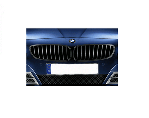 Originale Bmw Griglia Anteriore Set Performance Nero Per Z4 E89 Ebay