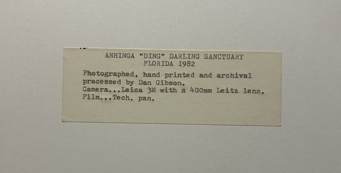 Dan Gibson - Fine Art Photography - Ahninga Ding Wildlife Sanctuary (Florida)