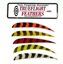 Trueflight Parabolic Cut Feathers - 5 inch - Barred Colors