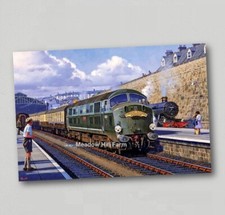 Fridge Magnet BR Class 41 Warship Diesel Locomotive British Rail Art - XL Size