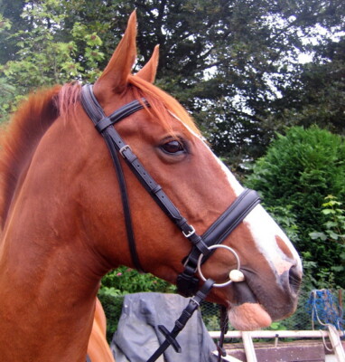 how to make a bow tie from scratch