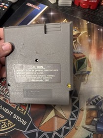 The Immortal (Nintendo Entertainment System NES, 1990) Tested!