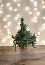18  Artificial Pine Christmas Tree Burlap Style Planter Tabletop Holiday Decor