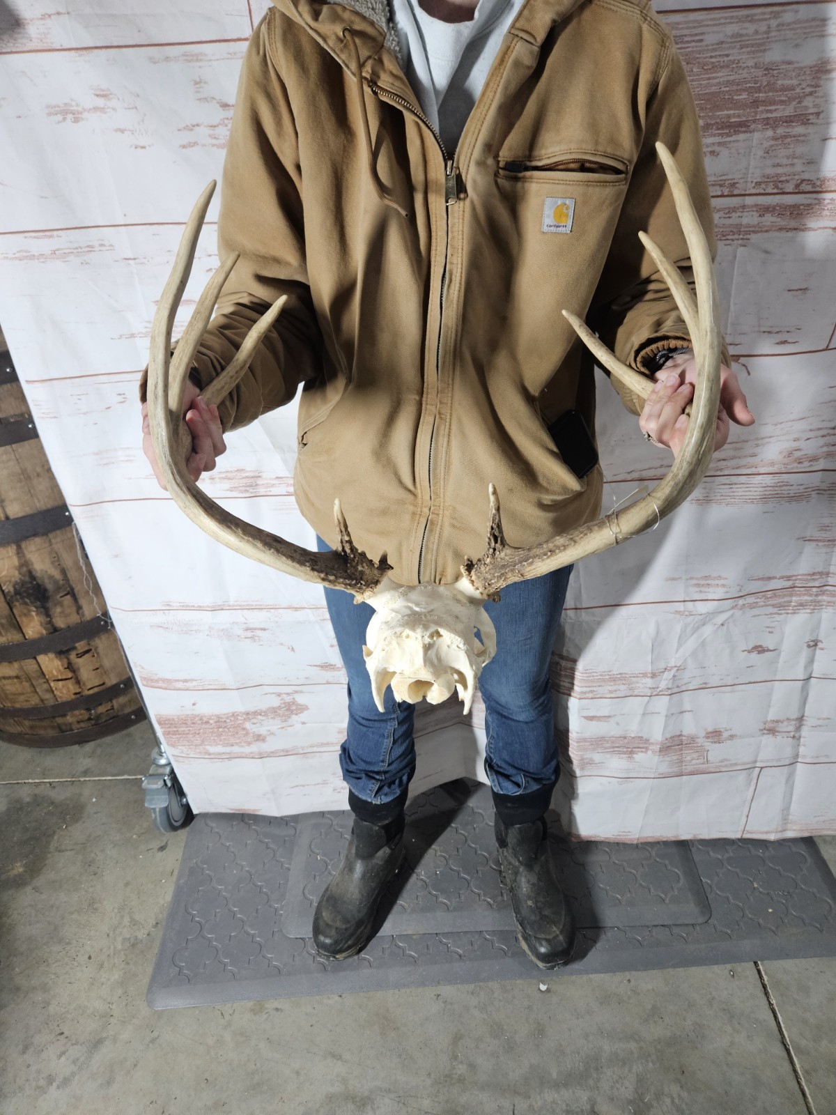 Wild 8 Point Whitetail Deer Antler Rack Horn European Skull Mount Man Cave 116"