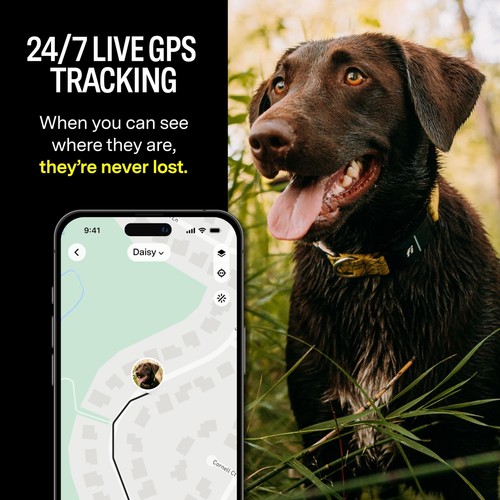 Fi Series 3 Smart Dog Collar - GPS Dog Tracker and Activity & Fitness Monitor... - 第 2/7 張圖片
