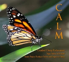 CALM Yoga Nidra Guided Meditation ( Julie Yogaressa) - RARE - limited stock!