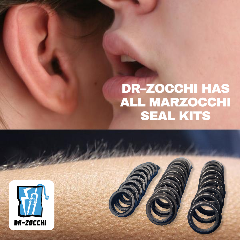 Dr-Zocchi's Marzocchi 888/66 - QR20 Axle Screw only (2004-2012+)
