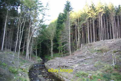 Foto 12x8 Steine Uferbach taucht aus dem Wald auf aus Steinverbot c2010