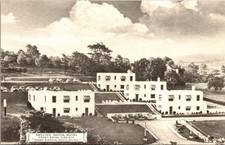 Skyline Motor Hotel Front Royal Virginia Postcard Blue Ridge AAA 1940s