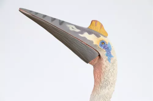TNG Quetzalcoatlus Model Jurassic Dinosaur Animal Figure Toys Xmas Gift Decor - Picture 15 of 24