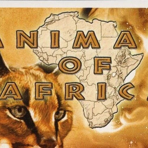 Malawi Animals of Africa Mammals Profeus Aurata Cats Souvenir Sheet Mint NH - Image 4 of 4