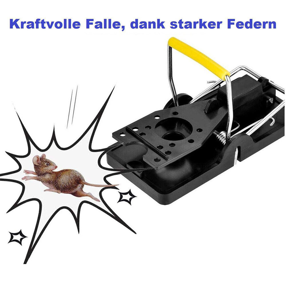 Bild 7 von 11