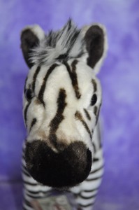 webkinz endangered signature