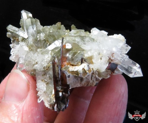 78 gr. MUY BONITO ESPÉCIMEN - VARIOS BROOKITE EN RACIMO DE CUARZO - Imagen 3 de 7