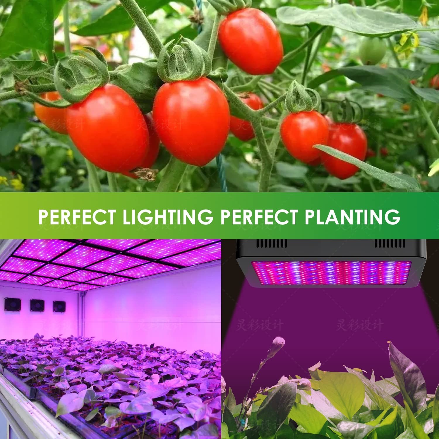 1200W LED Grow Light, Full Spectrum Plant Light with Daisy Chain, Grow Lights...