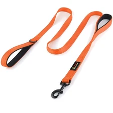 Dual Handle 6ft Reflective Dog Leash for Ultimate Safety and Control Training