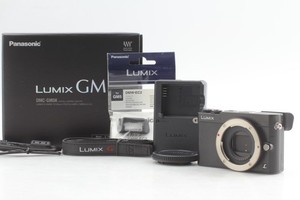 Panasonic Gm5 | eBay