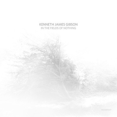 KENNETH JAMES GIBSON In The Fields Of Nothing Records & LPs New