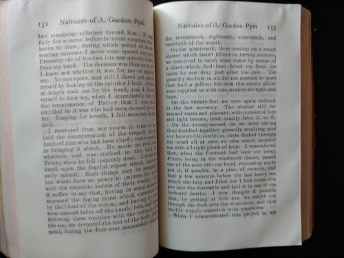 The Works Of Edgar Allan Poe 1905 Thomas Nelson Softcover Paperback Vol 2 And 3 - Picture 15 of 15
