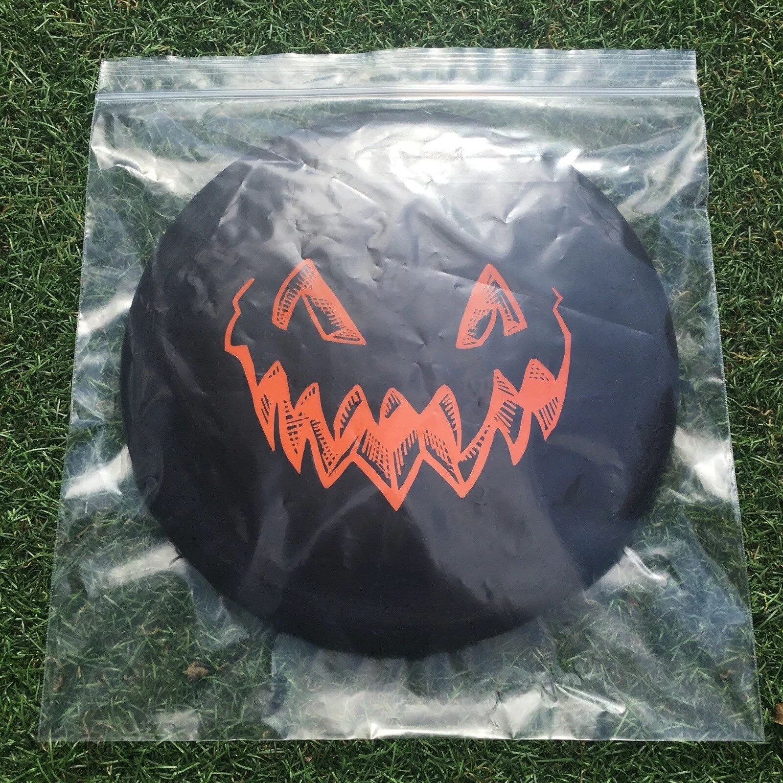Picture 3 of 17