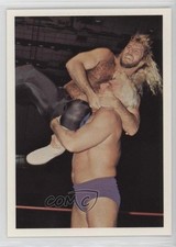 1988 Wonderama NWA Michael Hayes Ric Flair #107 0w6