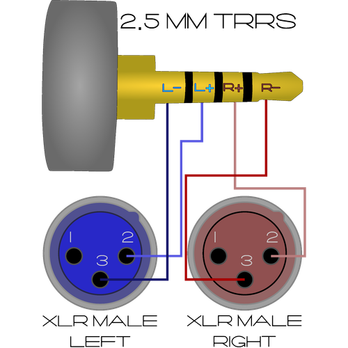 2.5 mm Mini TRRS Plug to Dual XLR Male Balanced Stereo Breakout Cable - Picture 4 of 5