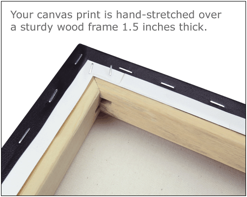 Canvas Print: Abandoned Cars, Route 66, Arizona, 2006 - Picture 4 of 4