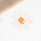 Bild 10 von 12