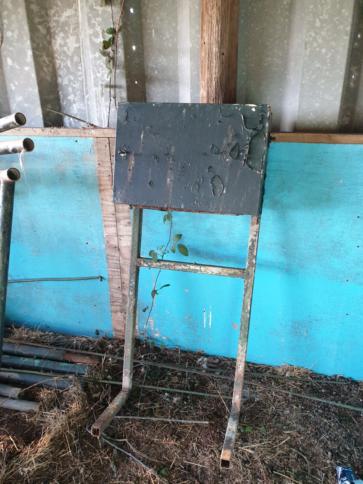 Horse Walker equestrian used eBay