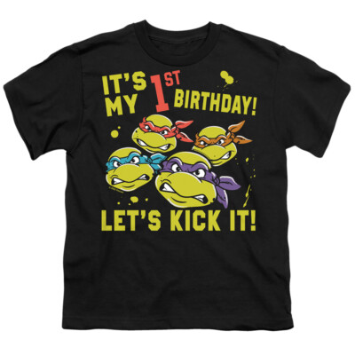 TEENAGE MUTANT NINJA TURTLES Licensed Toddler Kids Graphic Tee Shirt 2T 3T 4T