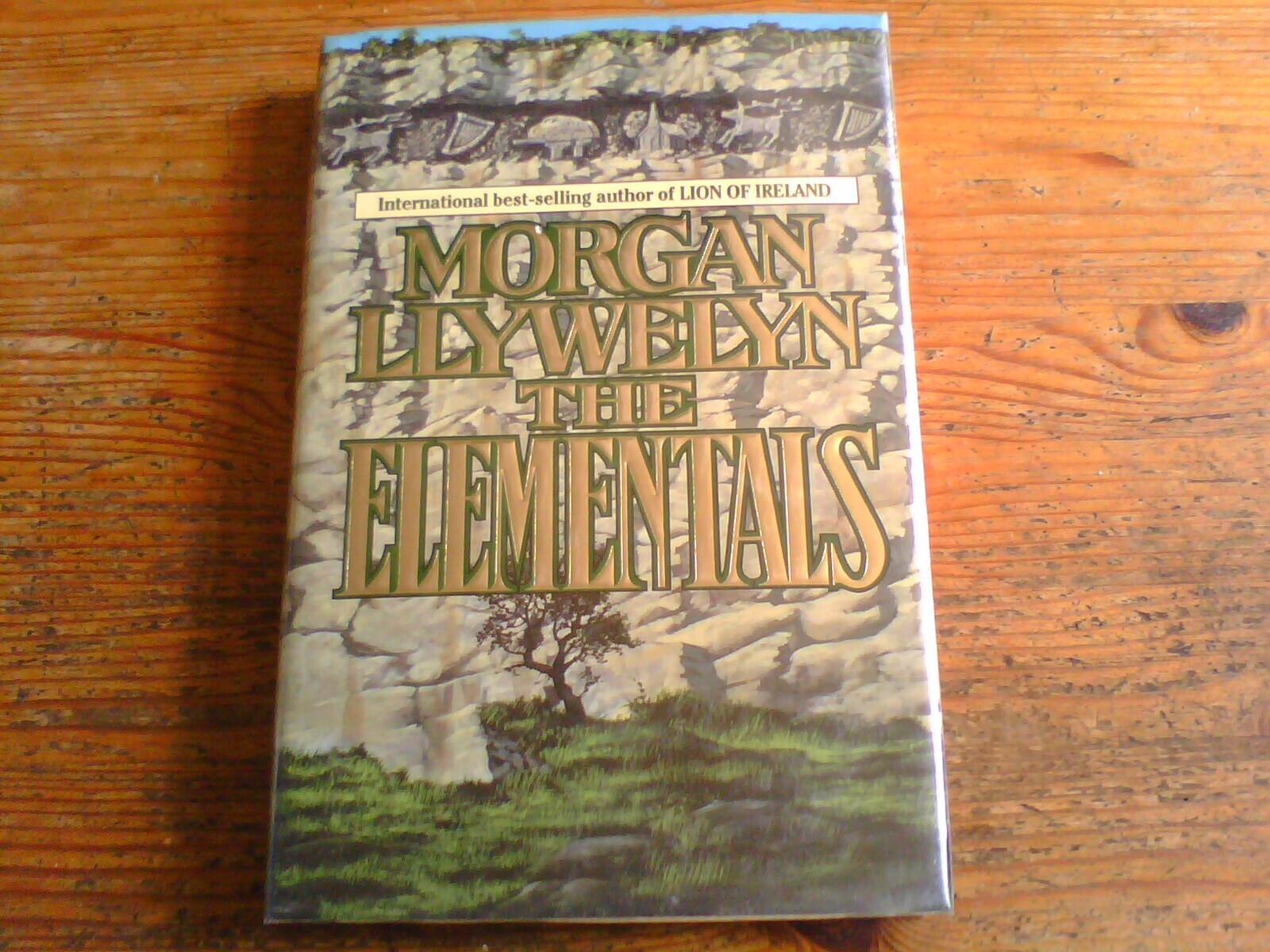 The Elementals by Morgan Llywelyn 1st edn 1/1 hb dj