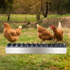 Chicken Feeder Trough Chick Feeding Dispenser Multi Hole Lightweight Stainless