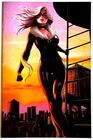 AMAZING SPIDER-MAN #57 IVAN TALAVERA EXCLUSIVE BLACK CAT VIRGIN VARIANT 2024 NM