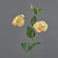 Artplants KüNstliche Blume Lisianthus Jeno, Creme