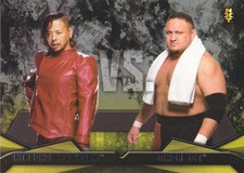 2016 Topps WWE Then Now Forever NXT Rivalries Insert Cards Pick from List
