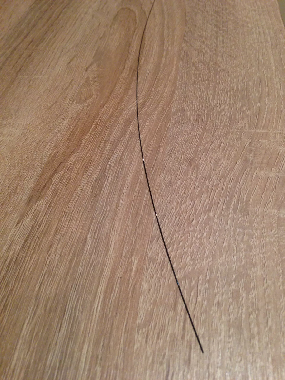 Bild 3 von 3