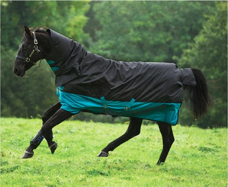 Horseware Amigo Mio Turnout All In One 200g Kombi mittelschwer