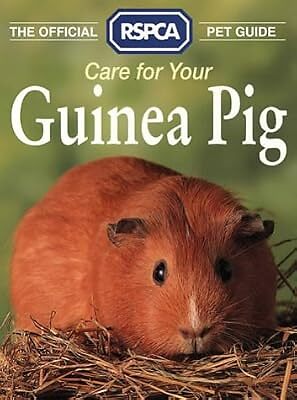 Animal Rescue Rspca Guinea Pig Rescue The Official RSPCA Pet Guide - Main Image