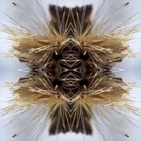 Yakuza - Sutra - Cd - G3Z