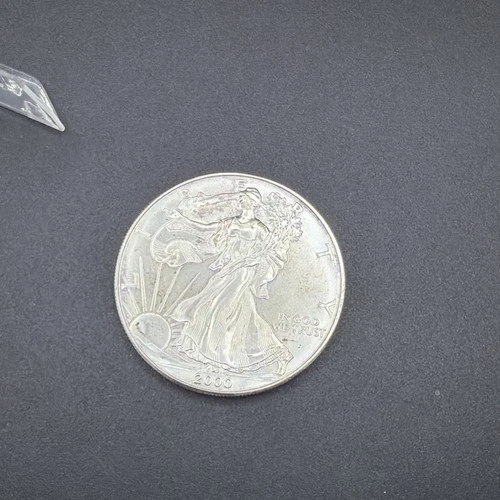 2000- 1 oz American Silver Eagle Coin - One Troy oz .999 Bullion