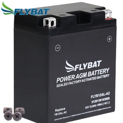 Batterie für Aprilia Pegaso 650 T MX 1996 FlyBat YB12AL-A2 AGM geschlossen