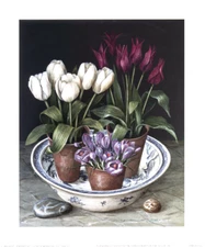 Tulips  Crocus I and II  Set of 4 Botanical Flowers