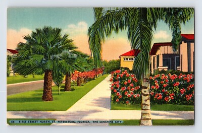 Postcard Florida St Petersburg FL First Street North 1940s Unposted Linen