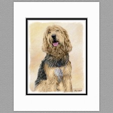 Otterhound Dog Original Art Print 8x10 Matted to 11x14