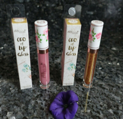 Pretty vulgar CEO of lip gloss new in box 0.16oz select your shade