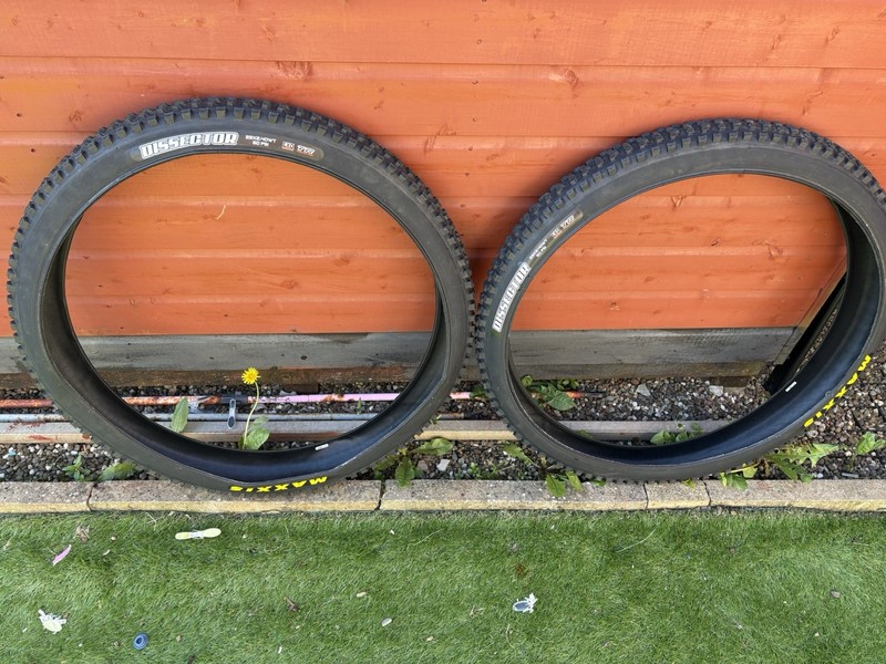 Maxxis Dissector 29x2.4WT Exo TR Tyres Pair Tubeless Ready